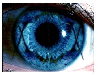 le regard 